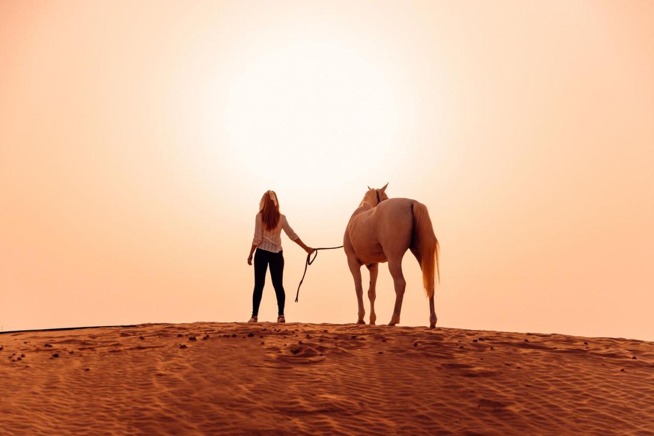 Al Wathba, A Luxury Collection Desert Resort & Spa, Abu Zabi Zewnętrze zdjęcie